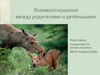 Взаимоотношения между родителями и детёнышами