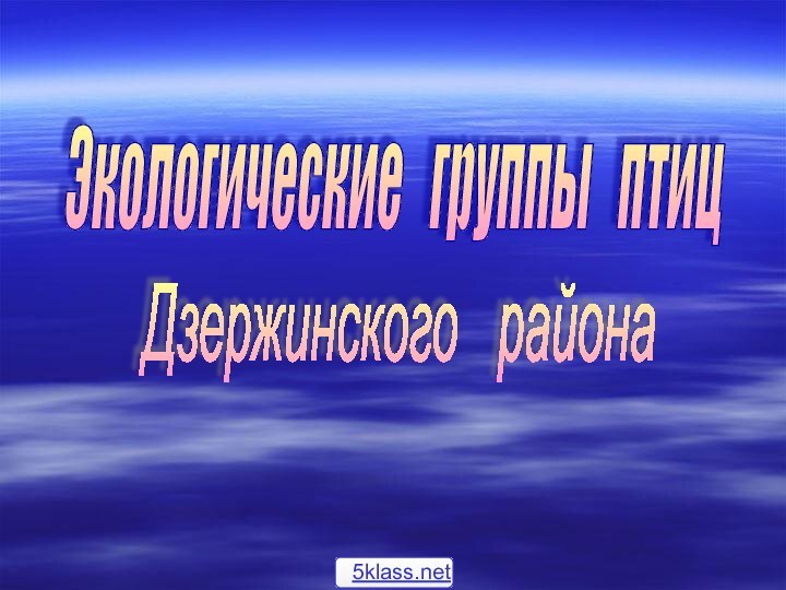 Экологические  группы  птиц   Дзержинского  района