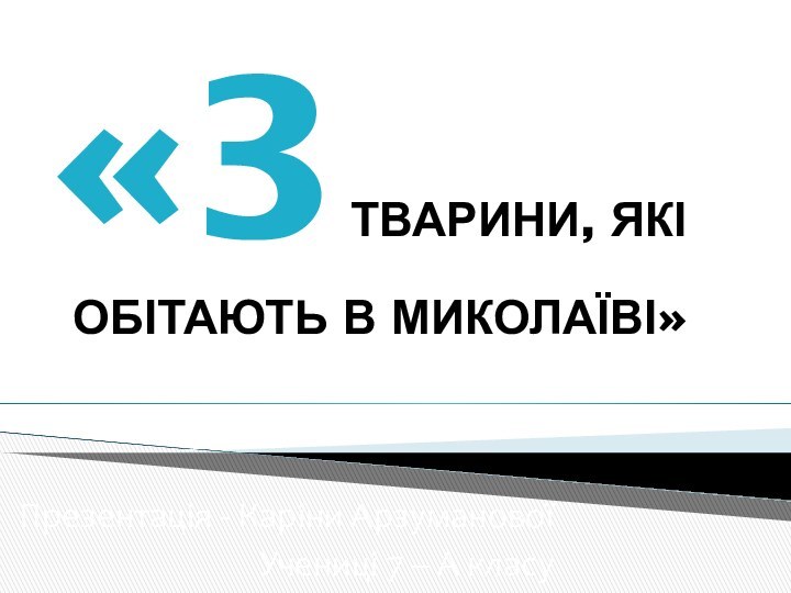 «3 ТВАРИНИ, ЯКІ ОБІТАЮТЬ В МИКОЛАЇВІ»Презентація - Каріни АрзумановоїУчениці 7 – А класу