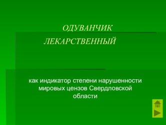 Одуванчик лекарственный как индикатор степени нарушенности луговых ценозов Свердловской области