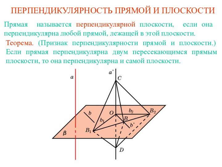 ПЕРПЕНДИКУЛЯРНОСТЬ ПРЯМОЙ И ПЛОСКОСТИПрямая называется перпендикулярной плоскости, если она перпендикулярна любой прямой,