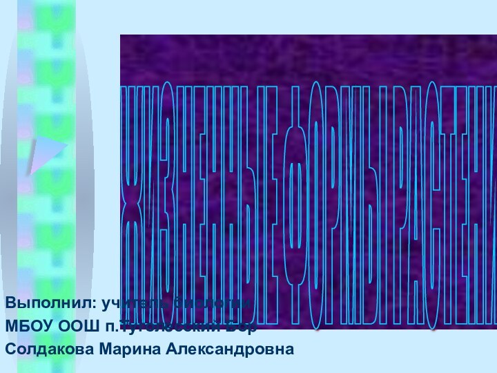 ЖИЗНЕННЫЕ ФОРМЫ РАСТЕНИЙ Выполнил: учитель биологии МБОУ ООШ п.Туголесский Бор Солдакова Марина Александровна