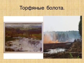 Торфяные болота