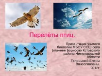 Перелеты птиц