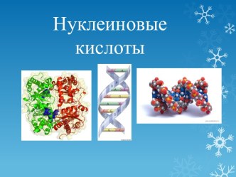 Нуклеиновые кислоты