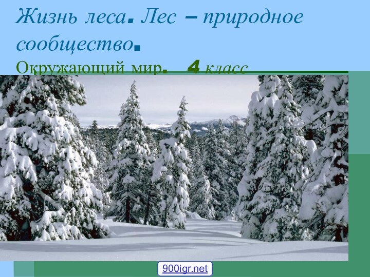 Жизнь леса. Лес – природное сообщество. Окружающий мир.  4 класс