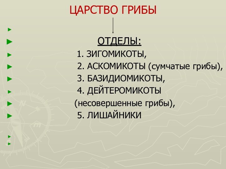 ЦАРСТВО ГРИБЫ