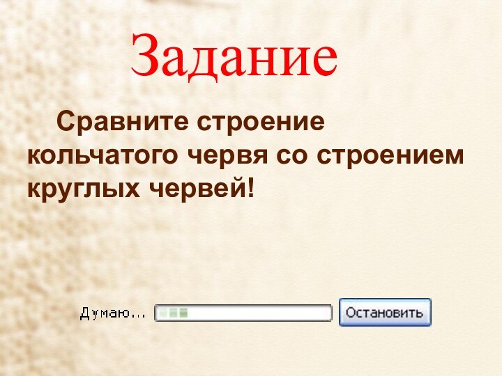 ЗаданиеСравните строение кольчатого червя со строением круглых червей!