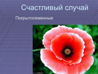 Покрытосеменные