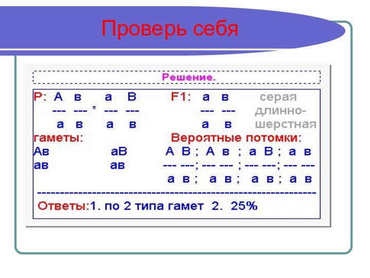 Проверь себя