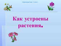 Как устроены растения 1 класс