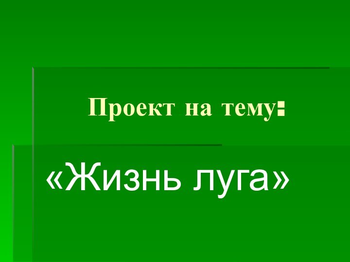 Проект на тему:«Жизнь луга»