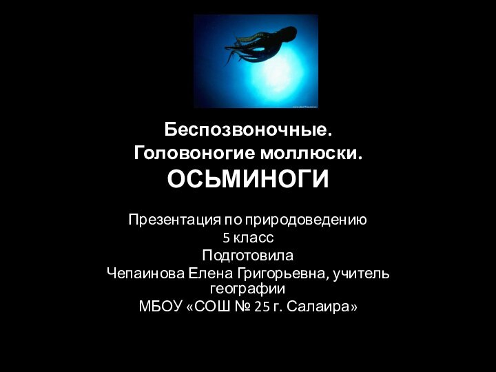 Беспозвоночные. Головоногие моллюски. ОСЬМИНОГИПрезентация по природоведению5 классПодготовила Чепаинова Елена Григорьевна, учитель географииМБОУ