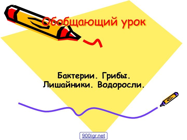 Обобщающий урок Бактерии. Грибы. Лишайники. Водоросли.