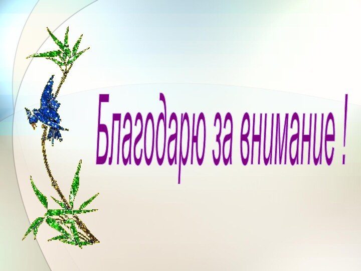 Благодарю за внимание !