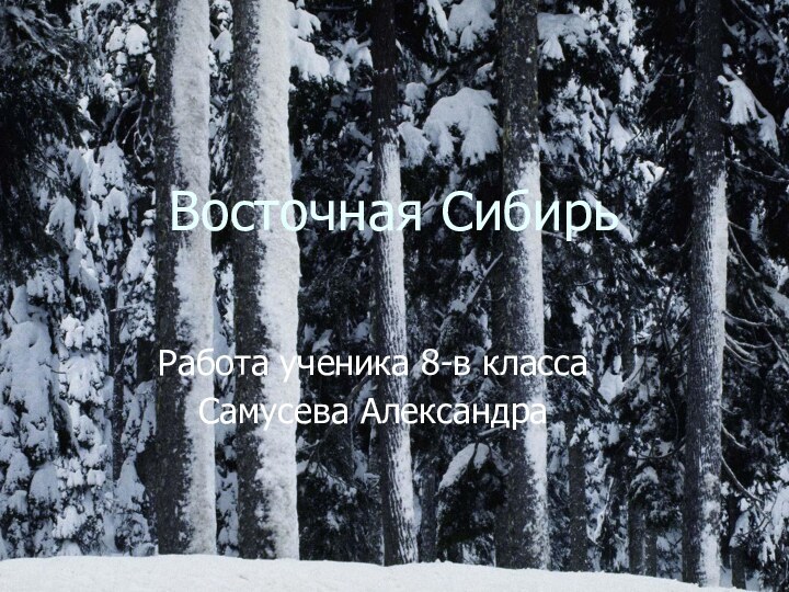 Восточная СибирьРабота ученика 8-в классаСамусева Александра