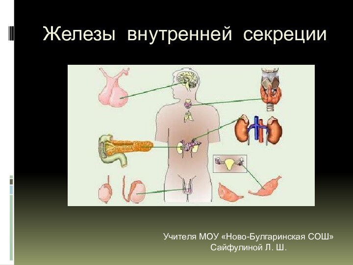 Железы внутренней секрецииУчителя МОУ «Ново-Булгаринская СОШ» Сайфулиной Л. Ш.