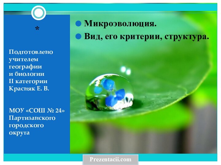 Подготовленоучителем географии и биологии II категории Красняк Е. В.МОУ «СОШ № 24»