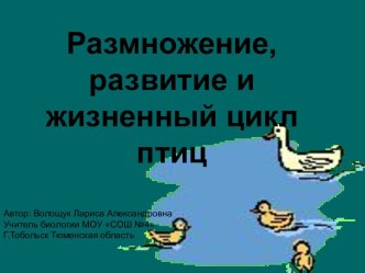 Размножение развитие и жизненный цикл птиц