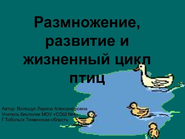 Размножение, развитие и жизненный цикл птицАвтор: Волощук Лариса АлександровнаУчитель биологии МОУ «СОШ №4»Г.Тобольск Тюменская область