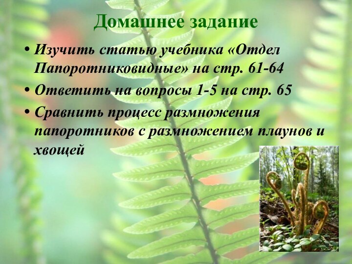 Домашнее заданиеИзучить статью учебника «Отдел Папоротниковидные» на стр. 61-64Ответить на вопросы 1-5