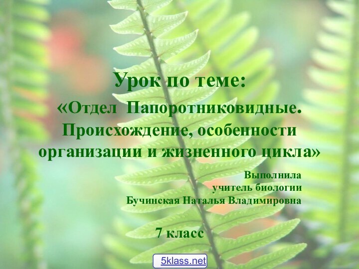 Урок по теме: «Отдел Папоротниковидные. Происхождение, особенности организации и