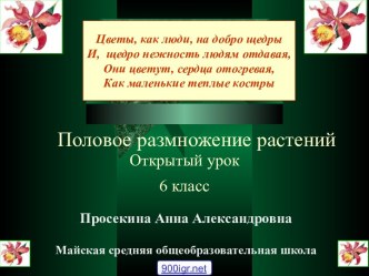 Урок Размножение растений