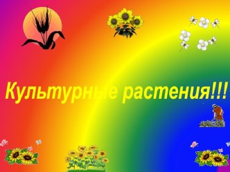 культурные растения