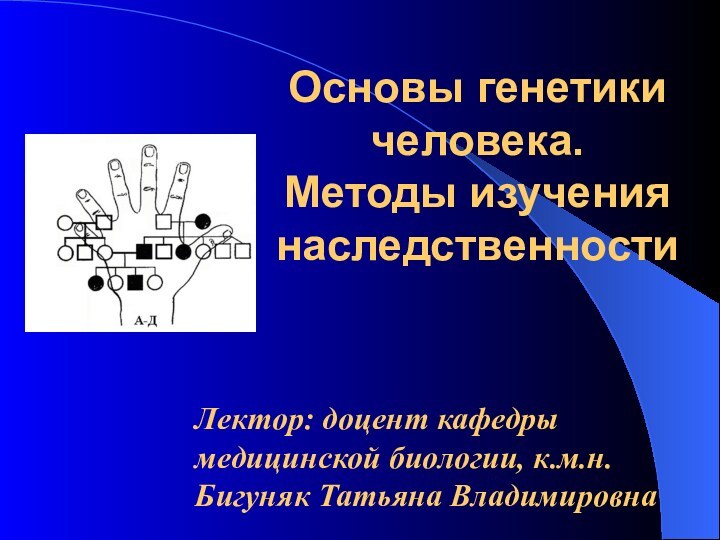 Лектор: доцент кафедры медицинской биологии, к.м.н. Бигуняк Татьяна ВладимировнаОсновы генетики человека.  Методы изучения наследственности