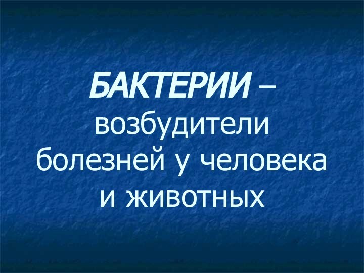 БАКТЕРИИ – возбудители болезней у человека и животных