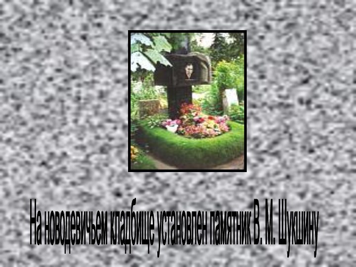 На новодевичьем кладбище установлен памятник В. М. Шукшину