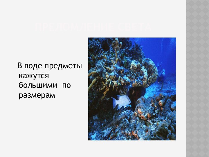 ПРЕЛОМЛЕНИЕ СВЕТА   В воде предметы кажутся большими по размерам