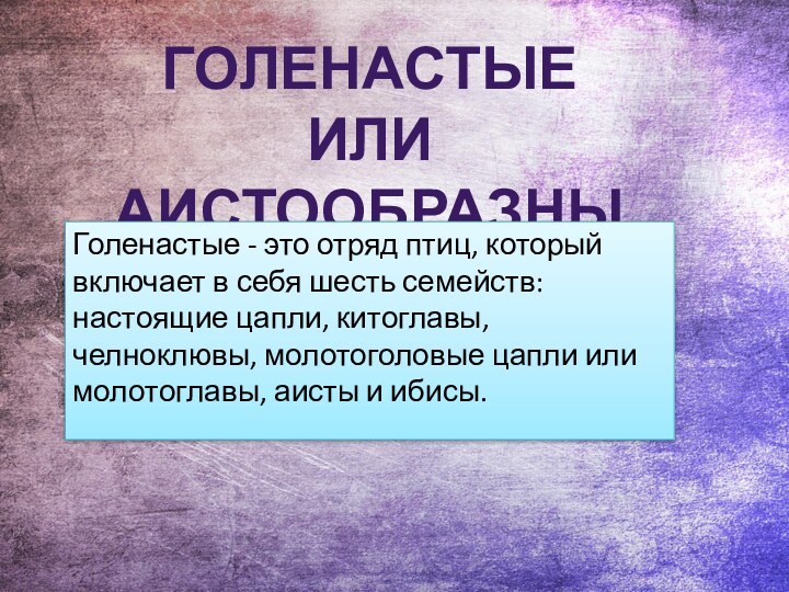 ГОЛЕНАСТЫЕ ИЛИ АИСТООБРАЗНЫЕГоленастые - это отряд птиц, который включает в себя шесть