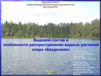 Видовой состав и особенности распространения водных растений озера Бездонное