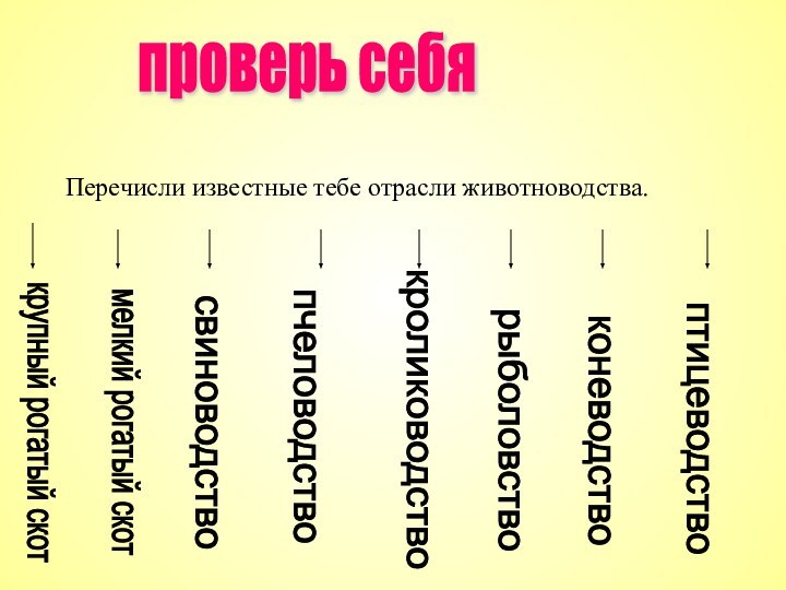 проверь себя Перечисли известные тебе отрасли животноводства.крупный рогатый скот мелкий рогатый скот