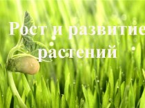 Рост и развитие растений 6 класс