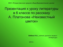 А. Платонов Неизвестный цветок