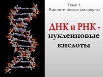 ДНК и РНК - нуклеиновые кислоты.