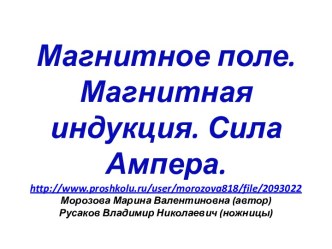 Магнитное поле. Магнитная индукция. Сила Ампера