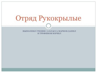 Отряд Рукокрылые