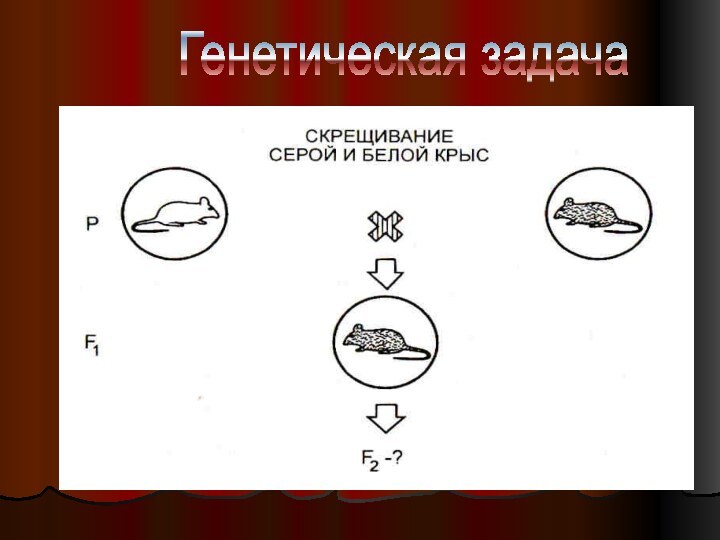 Генетическая задача