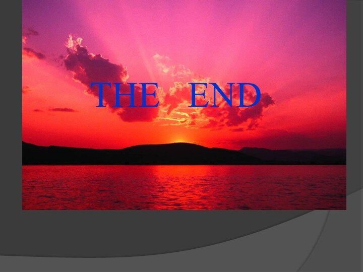 THE  END