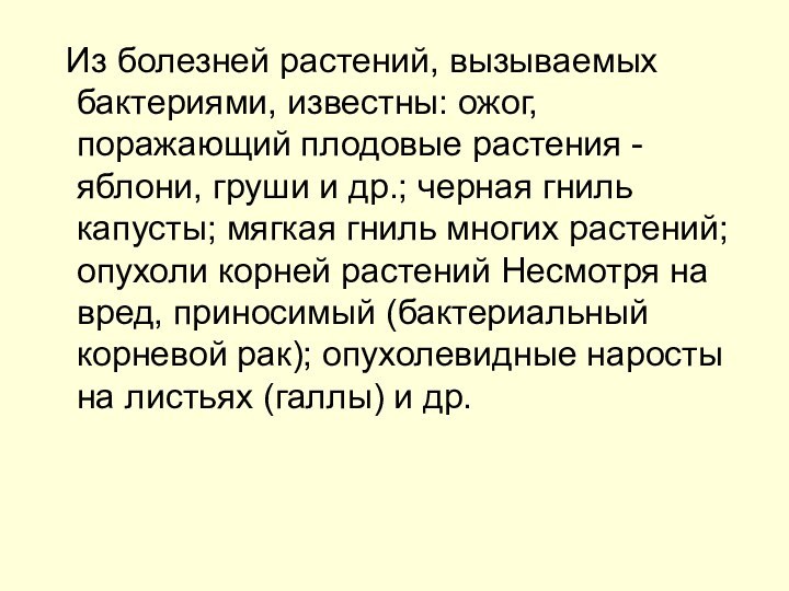 Из болезней растений, вызываемых бактериями, известны: ожог, поражающий плодовые растения -