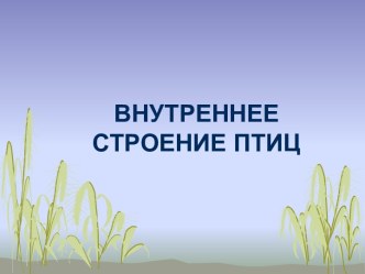 внутреннее строение птиц