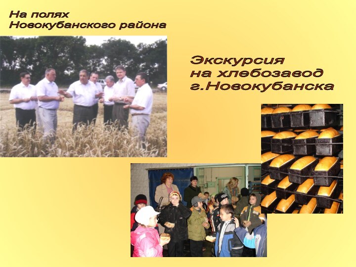 На полях Новокубанского районаЭкскурсия на хлебозавод г.Новокубанска