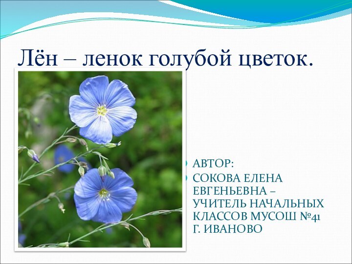 Лён – ленок голубой цветок.АВТОР:СОКОВА ЕЛЕНА ЕВГЕНЬЕВНА – УЧИТЕЛЬ НАЧАЛЬНЫХ КЛАССОВ МУСОШ
