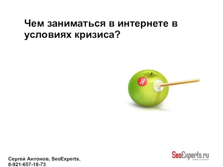 Сергей Антонов, SeoExperts, 8-921-657-18-73Чем заниматься в интернете вусловиях кризиса?