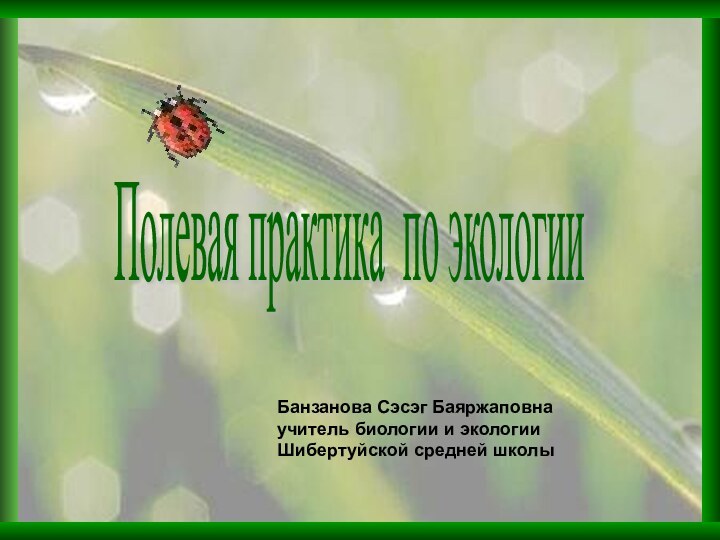 Полевая практика по экологии Банзанова Сэсэг Баяржаповнаучитель биологии и экологииШибертуйской средней школы