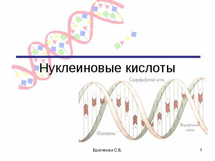 Братякова С.Б.