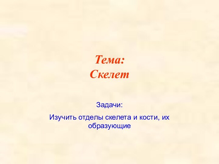 Тема: СкелетЗадачи:Изучить отделы скелета и кости, их образующие